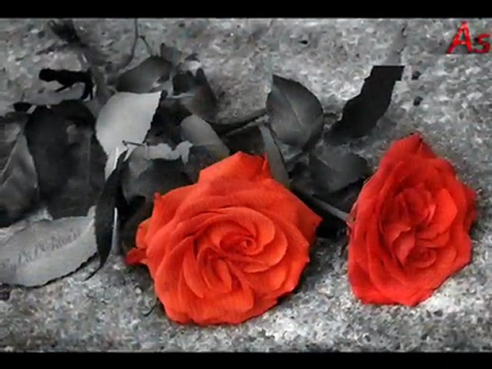 RIDVAN KARADAŞ - YOLLARA YAZDIM