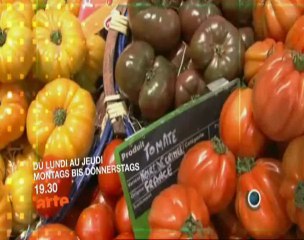 GLOBAL MAG : le magazine vert d'ARTE