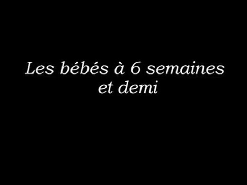 les BB  border 10 01 09