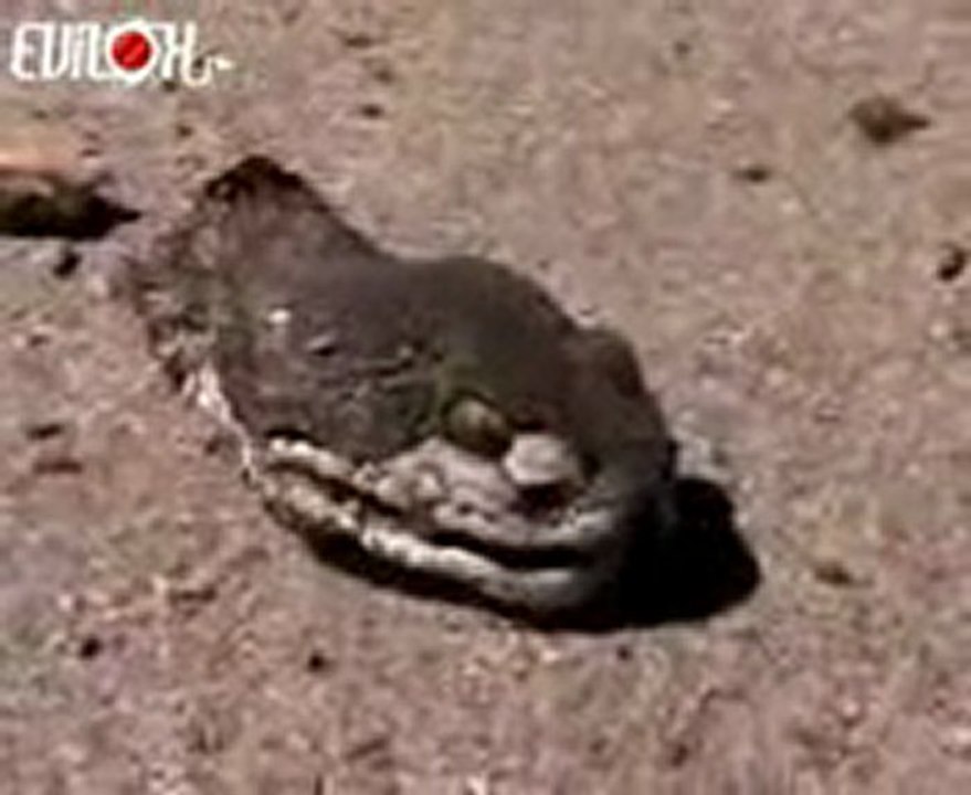tete de serpent