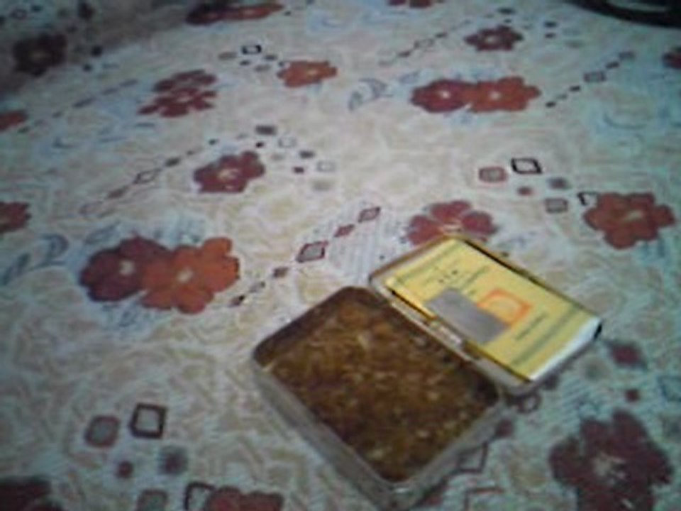 Makak Usta