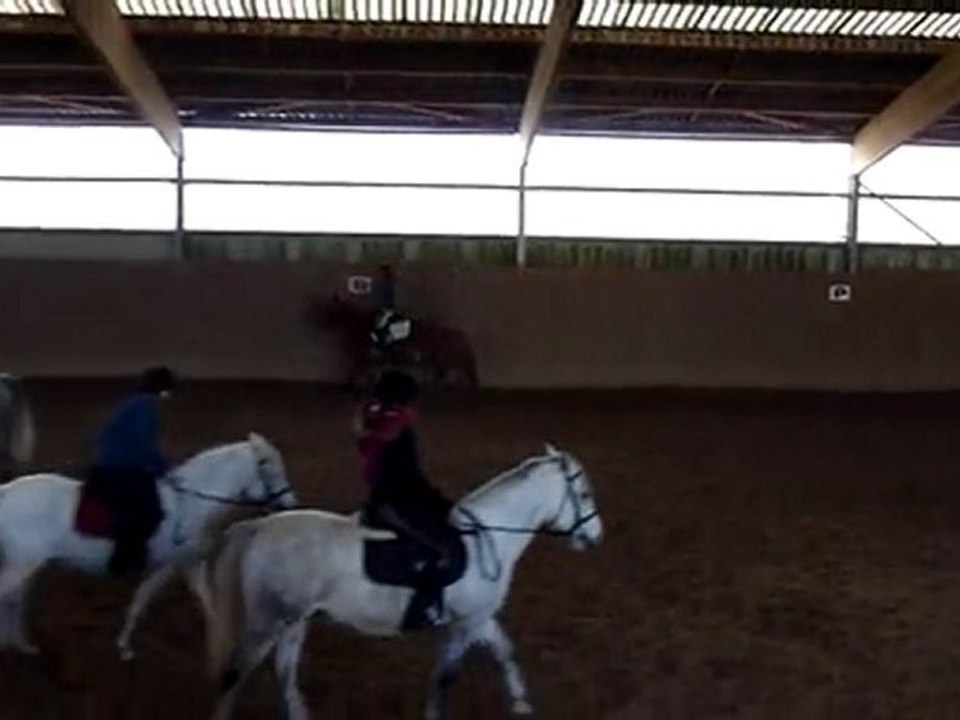 Tonnerre & moi au Galop.