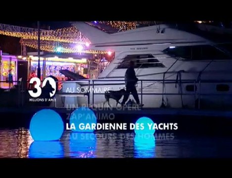 Sommaire émission 30 millions d'amis 17 01 2010