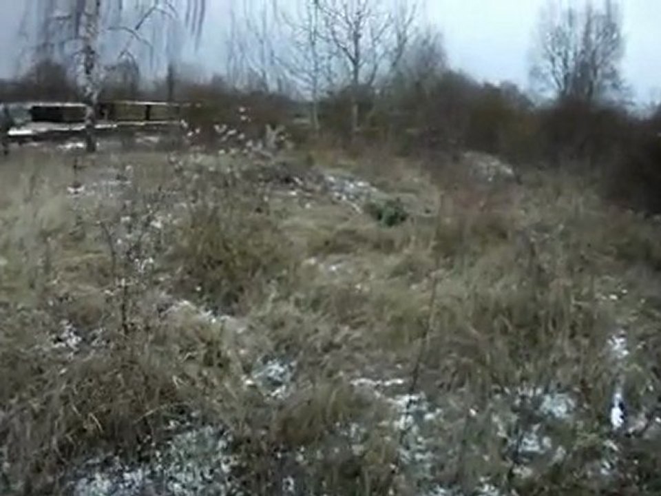 Airsoft 10.01.10