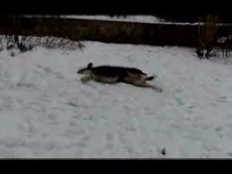 Jour de Neige
