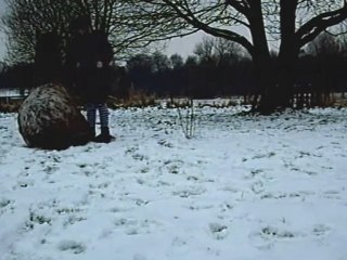 Sucette se couche sur demande (3)