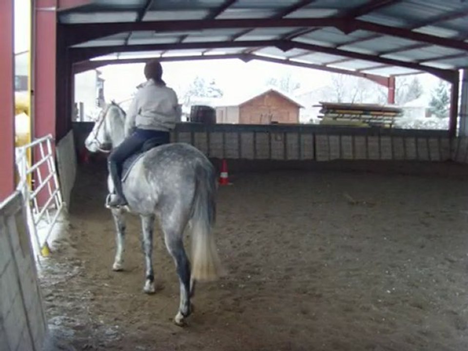 Mon Cheval