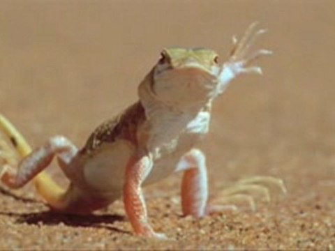 klimatyzacja Lódz Lódz Fan. Klimatyzacja, wentylacja