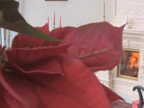 kominki Kraków Kraków Spartherm. Centrum kominkowe