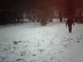 Kylja dans le parc eneigée , sous les couleurs de l'hiver *