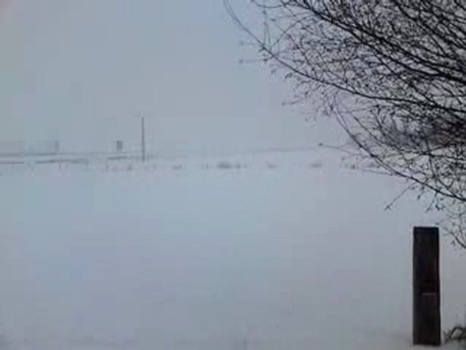 Neige à Moyenvic, 13 janvier 2010