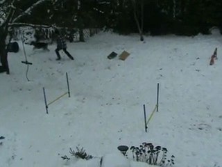 CALYPSO A L'AGILITY DANS LA NEIGE 2