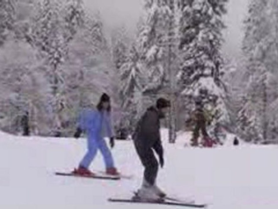 lynx