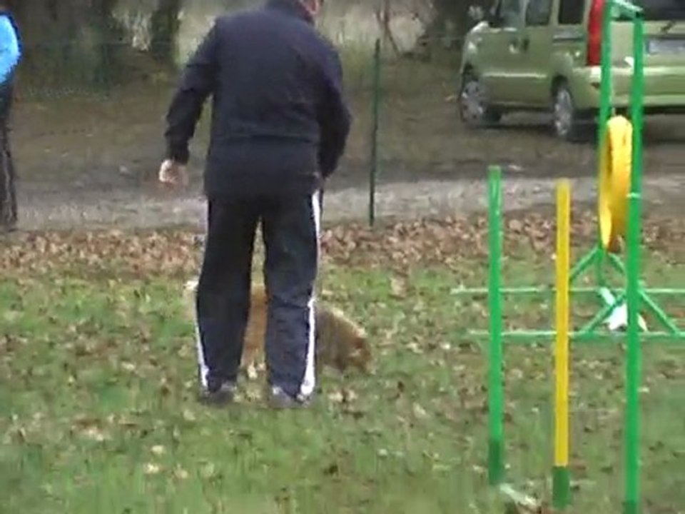 Diablesse-Agility-13Déc2009