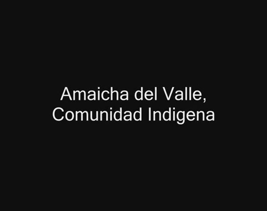 Amaicha del Valle : Comunidad Indigena - Vidéo Dailymotion