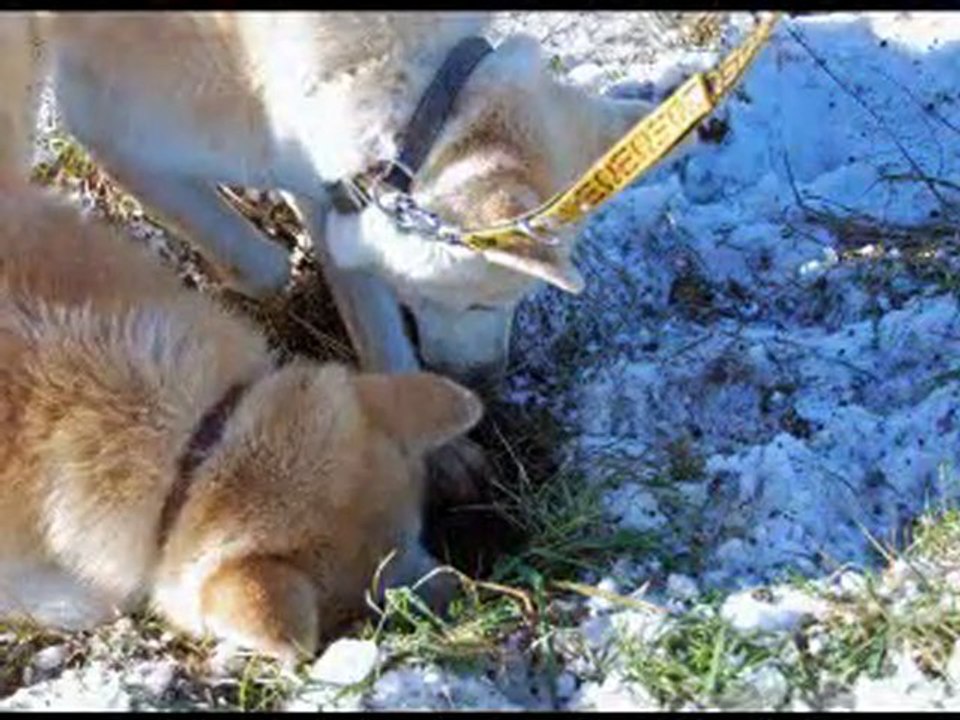 RENDEZ VOUS EN CHEMIN