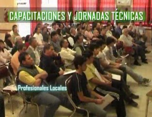 Video de Maiz y Sorgo