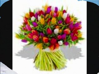 Anja und Chris-Komm ich zeig dir die Berge