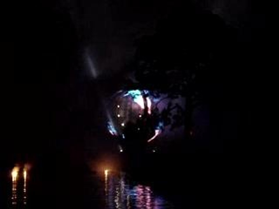 Feu d'artifice EPCOT 2