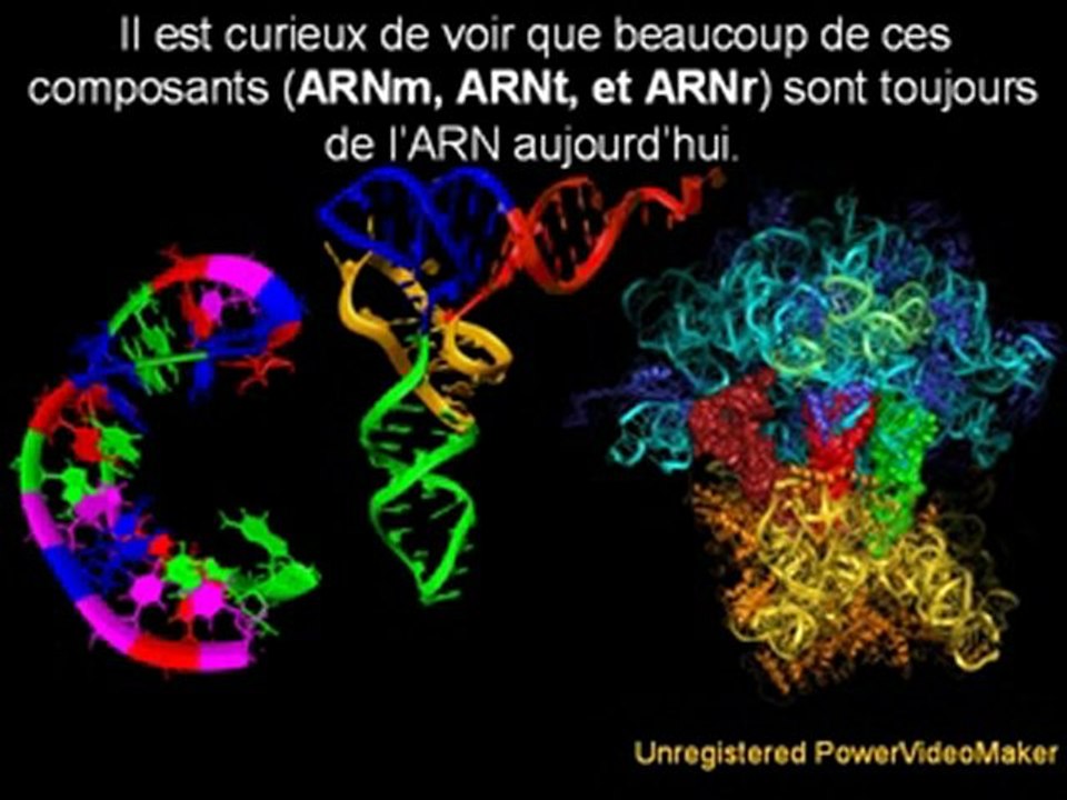 The Origin of Genetic Code