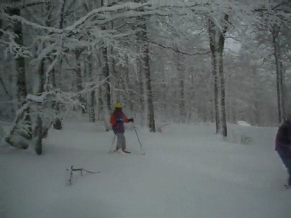 video groupe B dans les sapins mercredi 13 janvier 2010