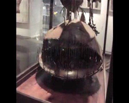 Exposition Nature vivante à la Médiathèque de Mérignac