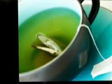 Adagio Teas Coupons, Coupon Codes, Promotional Codes, and On