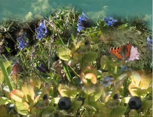 Özkürtün Beldesi Yayla,merkez resimler www.ozkurtun.org