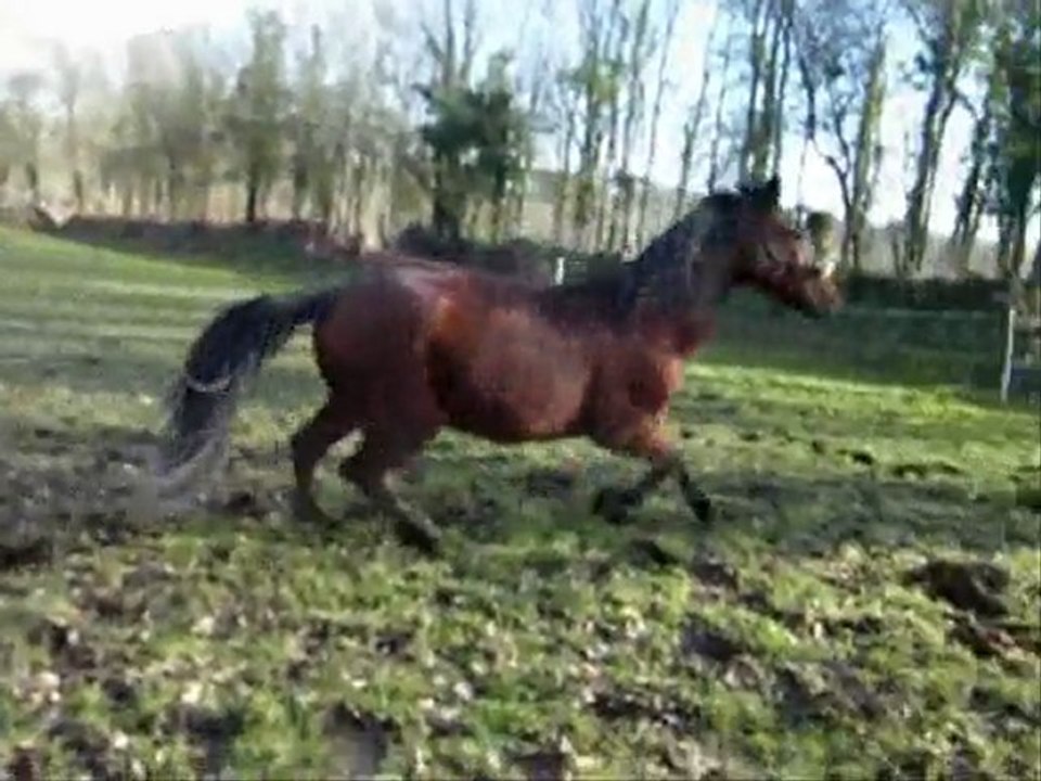 precious mercredi 27 Janvier SAUT