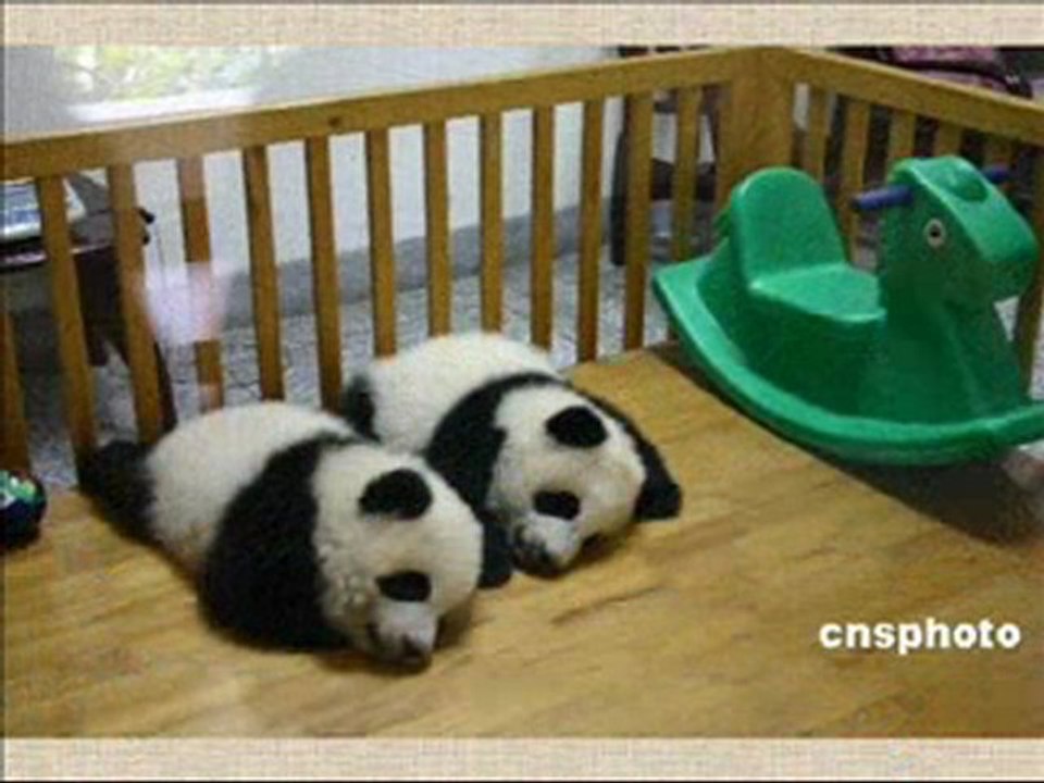 Pandas