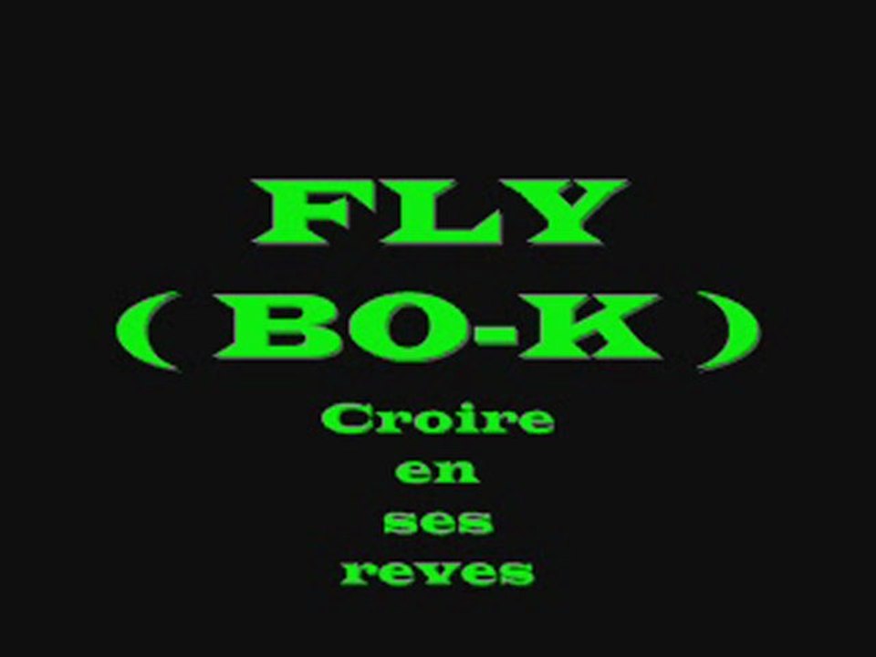 FLY croire en ses reves