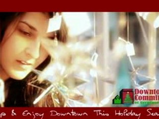 Downtown Syracuse 2009 Holidays