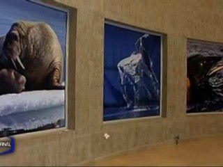 Exposition : Les photos du film "Océans" (La Roche-Sur-Yon)