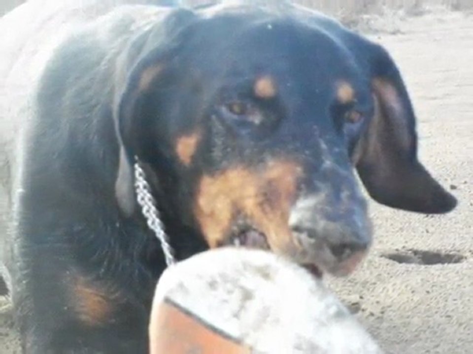 oceane et titi le 13 01 2010