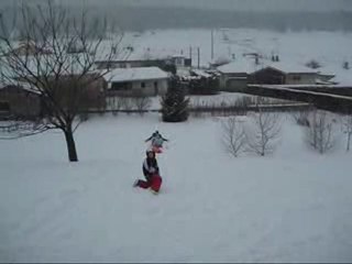 VOEUX 2010