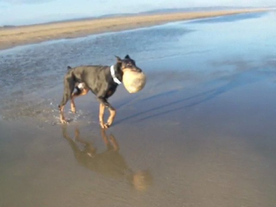 alter et sam le 13 01 2010