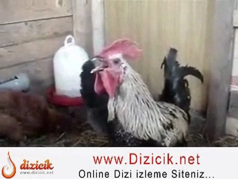 Antalya evden eve nakliyeci