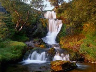 Fighting Shouldn't Be More Harmful Than Leaving It