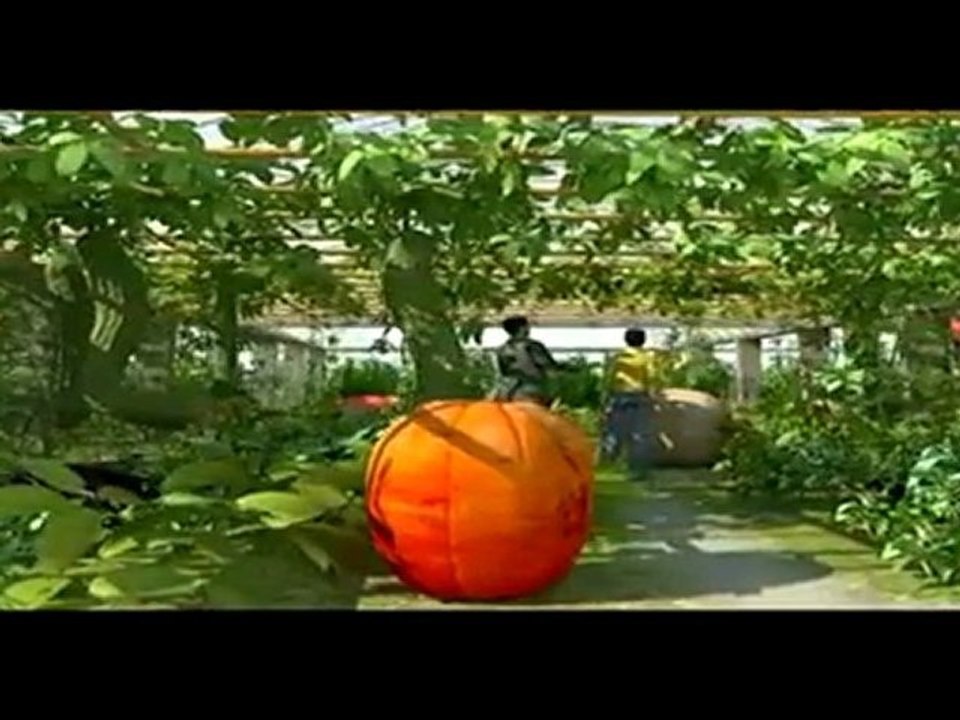 2011 Xi'an International Horticultural Exposition,