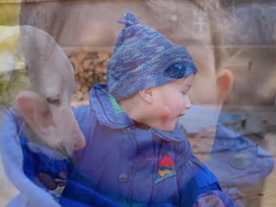 lucien-show0