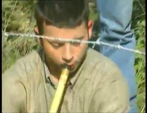 Erdal Akkaya Göklerde Kartal Gibiyim