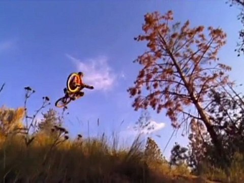 Mountain Bike Freeride Trails - Freeride Entertainment