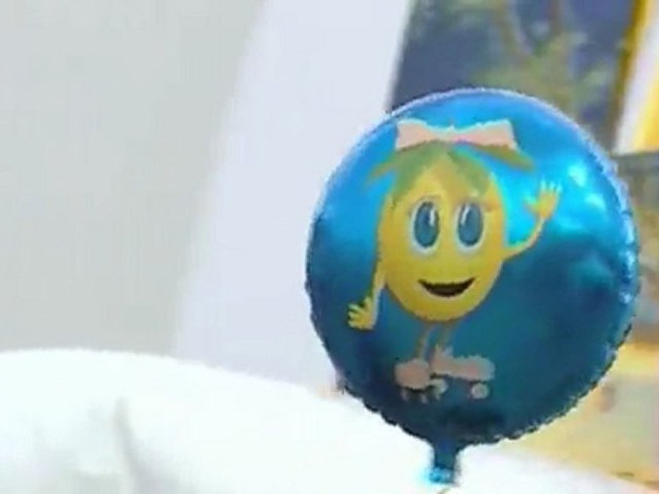 Fête de la Mirabelle - 29 aout 2009