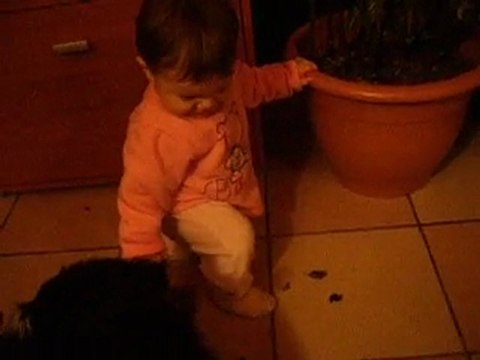 Bouvier bernois et Bebe