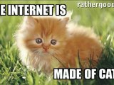 Internet is made of cats