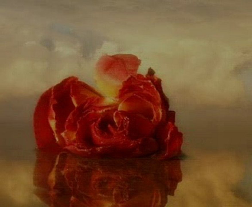 Erdal Çelik - GÜLENDAM