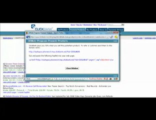 Introduction to Affiliate Marketing Video 2  ( of 5 )