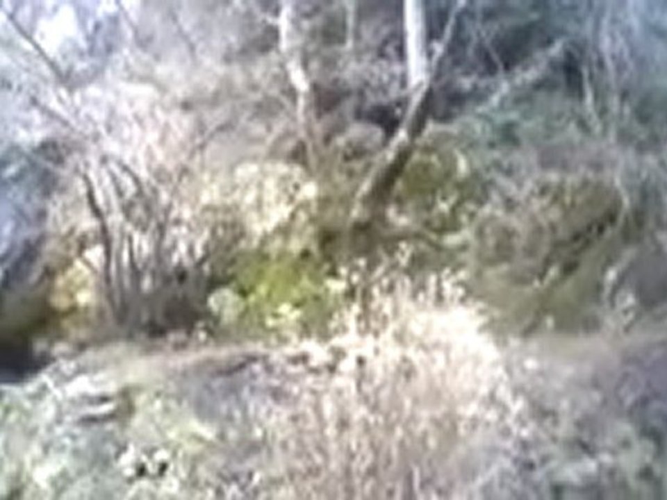 domuz avı sami özkan