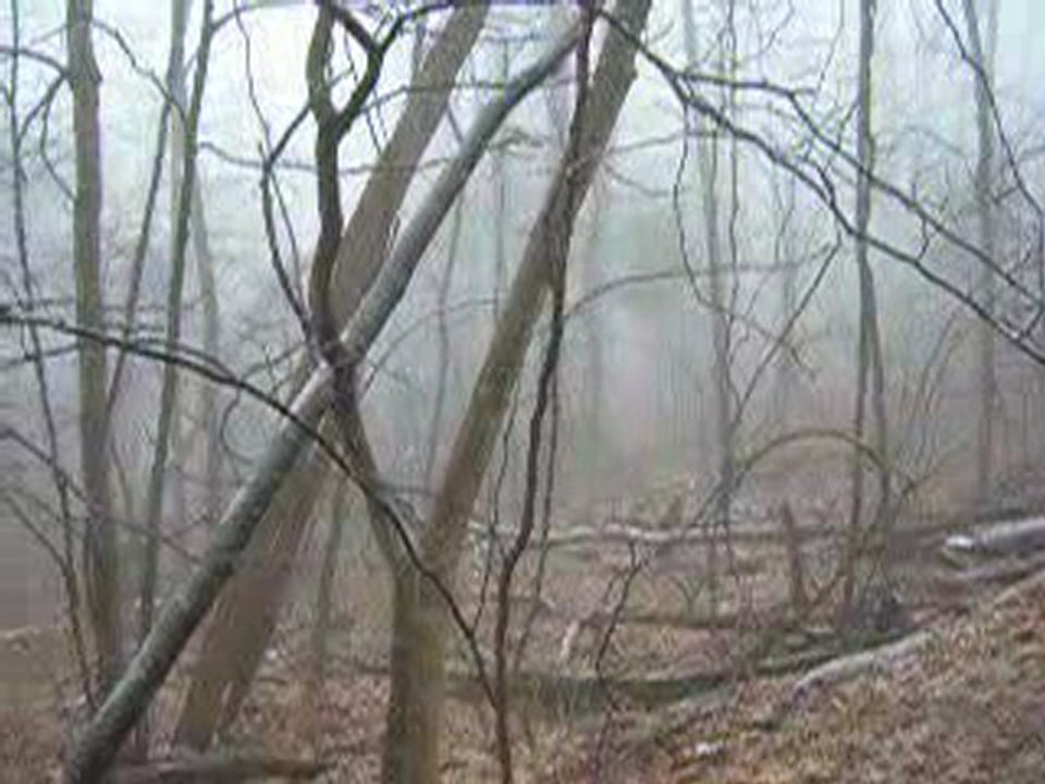 land for sale in greene, land near a state park,