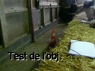 Etude comportement de peur des chèvres